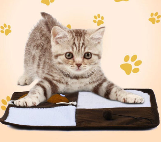 Rascador de Sisal para Gatos - Juguete Interactivo y Divertido - Image 5
