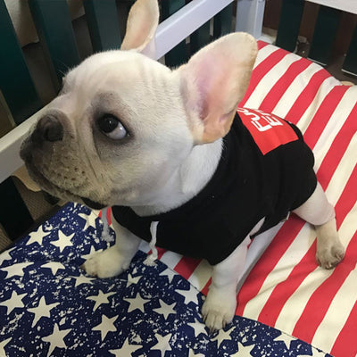 Suéter de Lana con Alfabeto para Perros - Image 7