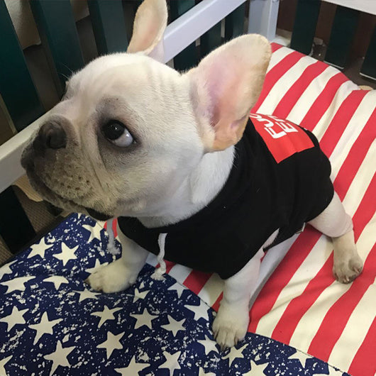Suéter de Lana con Alfabeto para Perros - Image 7