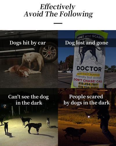 Chaleco LED Reflectante para Pasear Perros de Noche - Image 9