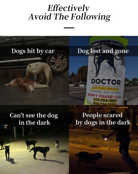 Chaleco LED Reflectante para Pasear Perros de Noche - Image 9