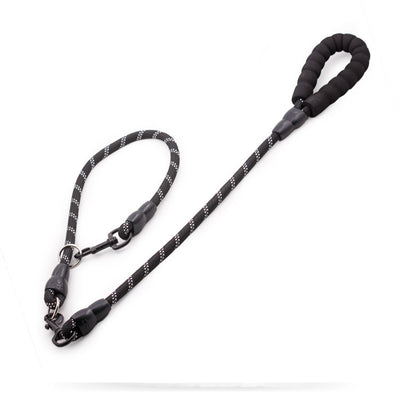 Cadena y Cuerda para Perros Grandes Golden Retriever - Accesorios Mascotas Premium - Image 7