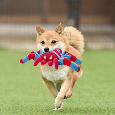 Juguete Resistente para Perros - Limpieza Dental y Alivio del Aburrimiento - Image 11