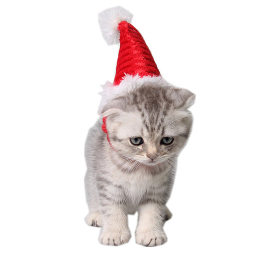 Gorro Navideño Rojo para Erizo con Correas de Franela