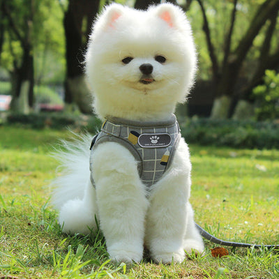 Correa para Perro con Bandas Reflectantes para Paseos Nocturnos - Image 10