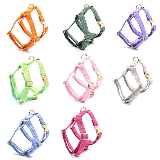 Chaleco de Pecho para Perro en Pana con Letras Láser - Image 12