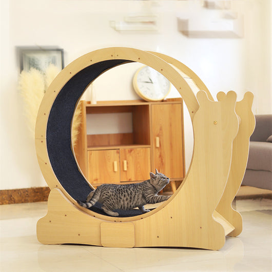 Caminadora Silenciosa para Gatos con Función Bodybuilding - Image 10