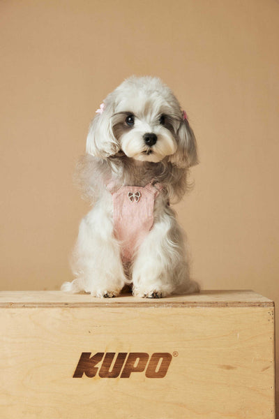 Falda Overol de Mezclilla Lavada para Perros - Image 41