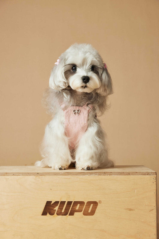 Falda Overol de Mezclilla Lavada para Perros - Image 41