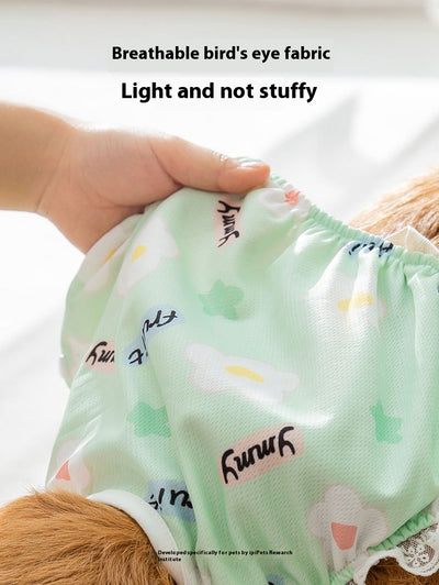 Pantaletas Menstruales Absorbentes Big Dog - Protección Cómoda Todo el Día - Image 19