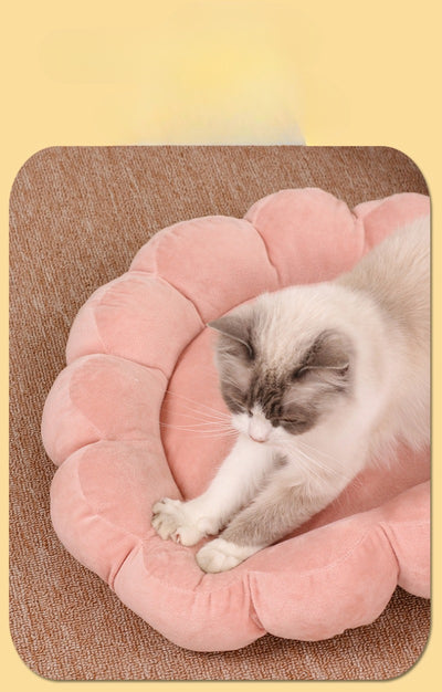 Cama Nido Doble Cara para Perros y Gatos 50x50cm - Diseño Pétalos Multicolor - Image 16