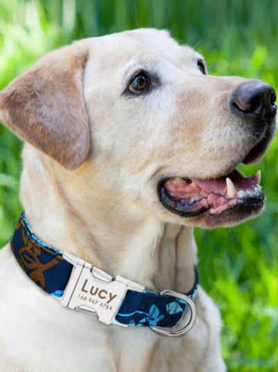 Collar de Perro Ajustable y Seguro - Image 4