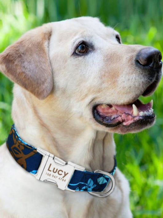 Collar de Perro Ajustable y Seguro - Image 4