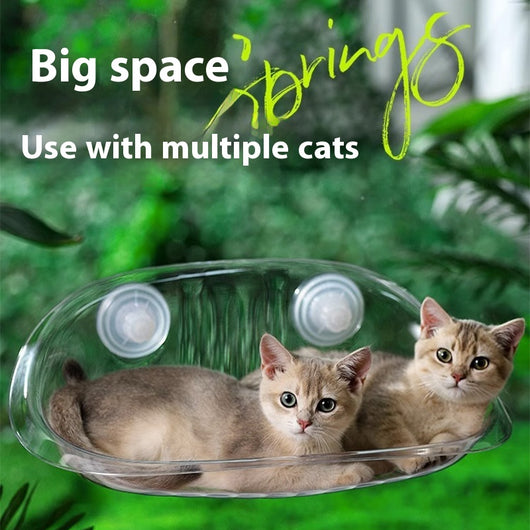 Hamaca Colgante para Gatos con Ventosa - Cama Elevada para Ventana y Balcón - Image 3