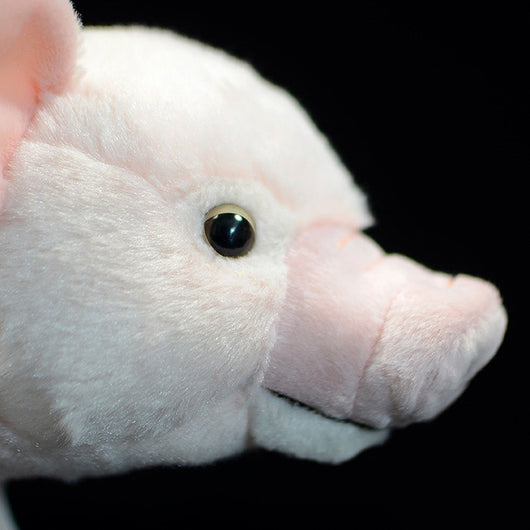 Peluche de Cerdo Blanco Adorable - Image 6