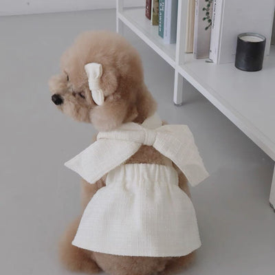 Falda Cabestrillo para Perros - Ropa Cómoda y Elegante - Image 7