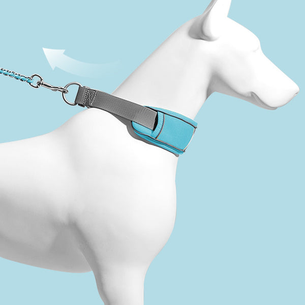 Collar y Correa para Perro Resistente a Tirones con Cierre de Seguridad