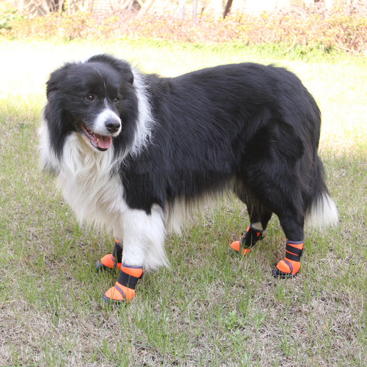 Botas Deportivas Antideslizantes para Perros - Senderismo y Aventura
