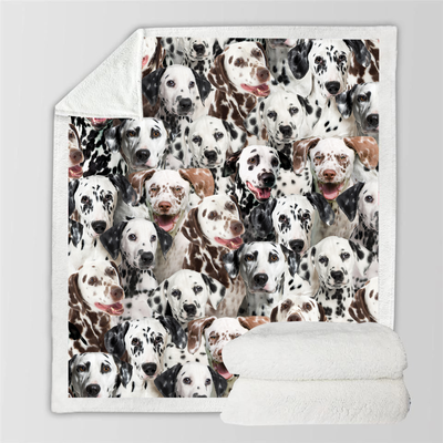 Manta Flanela Estampada para Perros de Moda - Image 57