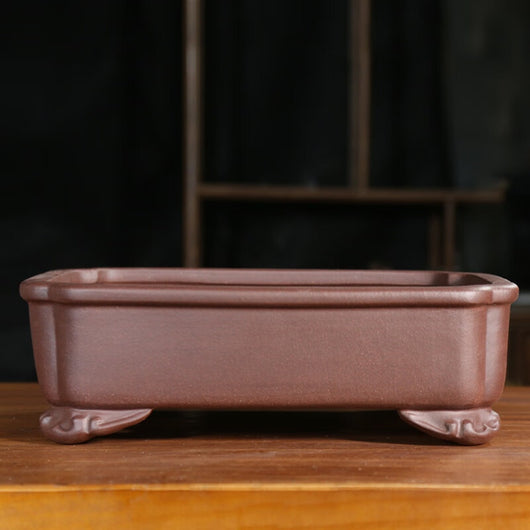 Maceta Rectangular de Arena Púrpura para Bonsái Clásico Interior y Exterior