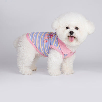 Chaleco Otoñal para Mascotas Pequeñas y Gatos - Image 2