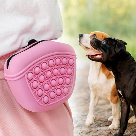 Light blue silicone pet treat pouch with a pop-it fidget design and black zipper closure.