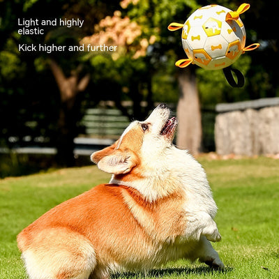 Orange and purple pet football toy with cartoon dinosaur-like characters and 'P' letters, featuring fabric loops and a strap. - Image 14