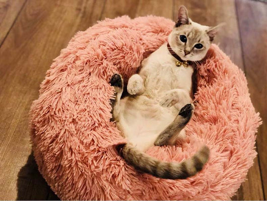 Cama Térmica para Gatos con Felpa Gruesa - Nido Profundo para Invierno - Image 6