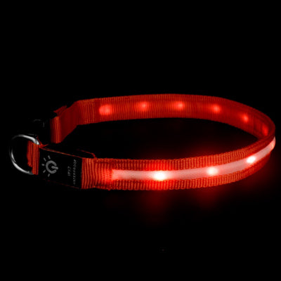 Collar LED Impermeable para Mascotas - Iluminación Nocturna - Image 11