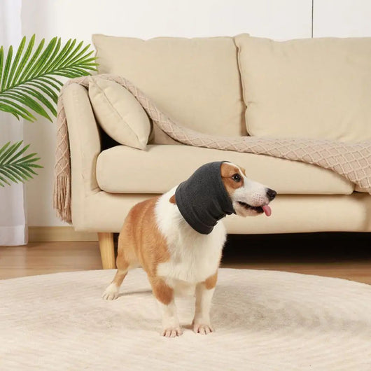 Protectores Auditivos Calmantes para Perros - Diadema Térmica Antiruido para Mascotas - Image 8