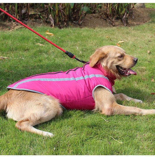 Abrigo Térmico para Perros Medianos y Grandes - Protección Invernal - Image 15