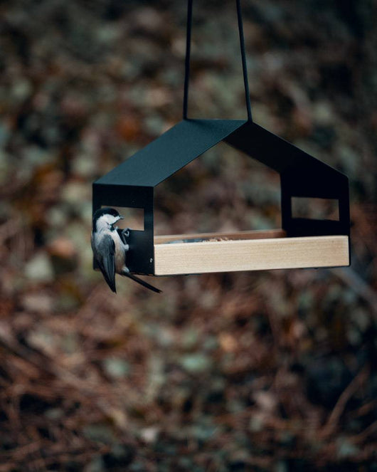Comedero Colgante para Pájaros - Decoración de Jardín Exterior - Image 9