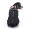 DZ 281 Preto S