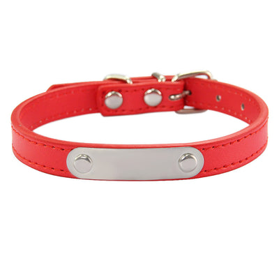 Collar para Perro con Grabado Personalizado - Identificación de Mascotas - Image 10