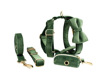 Collar de Perro Terciopelo Suave y Elegante - Image 30
