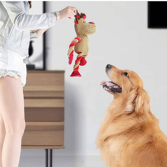 Juguete Navideño para Limpiar Dientes y Aliviar Encías en Mascotas
