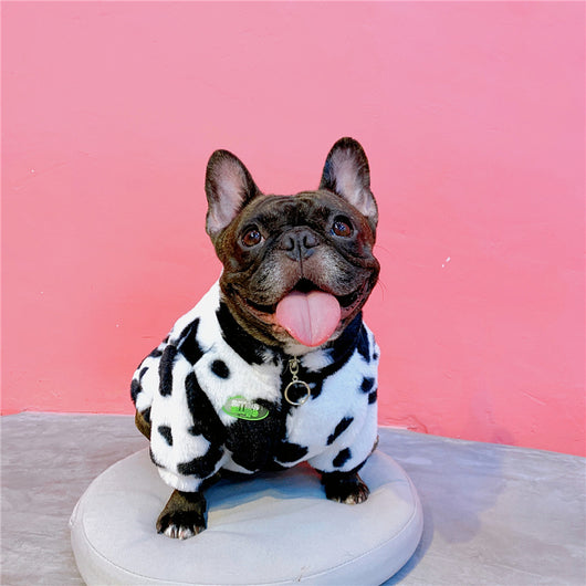 Abrigo Cálido para Perros Pequeños y Medianos - Ropa de Otoño e Invierno - Image 5