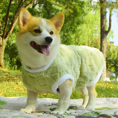 Chaleco Acolchado para Perros Medianos - Protección Térmica Invierno y Otoño - Image 13