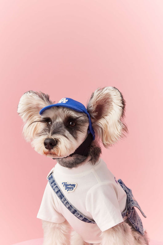 Ropa de Verano para Perros Pequeños - Teddy Schnauzer Bichón - Image 43