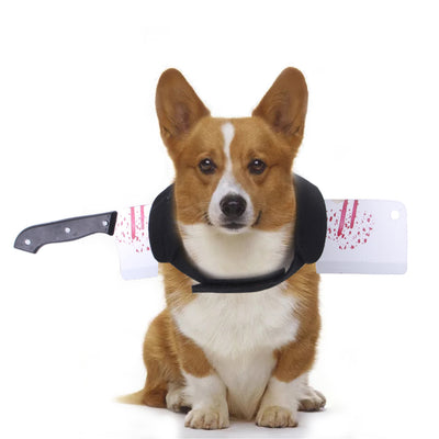 Ropa divertida de Halloween para mascotas - Image 12