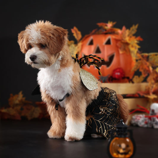 Disfraz Halloween para Perros - Traje de Fiesta Elegante - Image 2