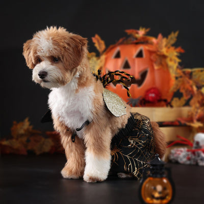 Disfraz Halloween para Perros - Traje de Fiesta Elegante - Image 2