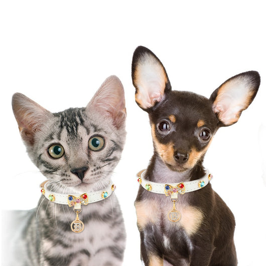 Collar para Gato con Moño de Diamantes y Aleación Elegante - Image 11