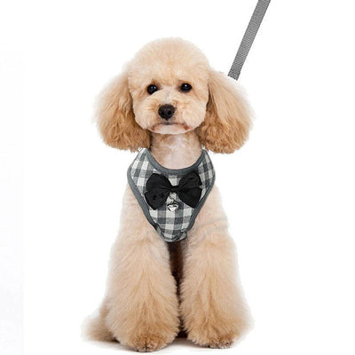 Correa para Perro - Image 9