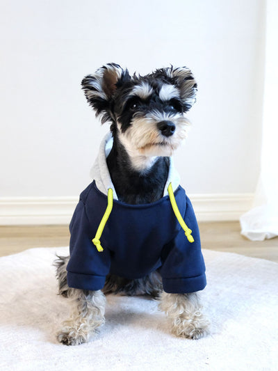 Sudadera con Capucha para Mascotas - Diseño Bicolor Moderno - Image 12