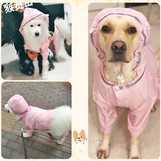 Impermeable con Capucha para Perros Medianos Golden Retriever y Samoyedo - Image 5