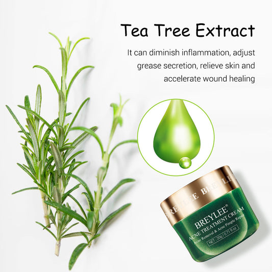 Crema Facial de Árbol de Té BREYLEE - Tratamiento Anti-Acné y Cicatrices - Image 2