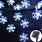 White Snowflakes 5 Meters and 20 Lights With Tw