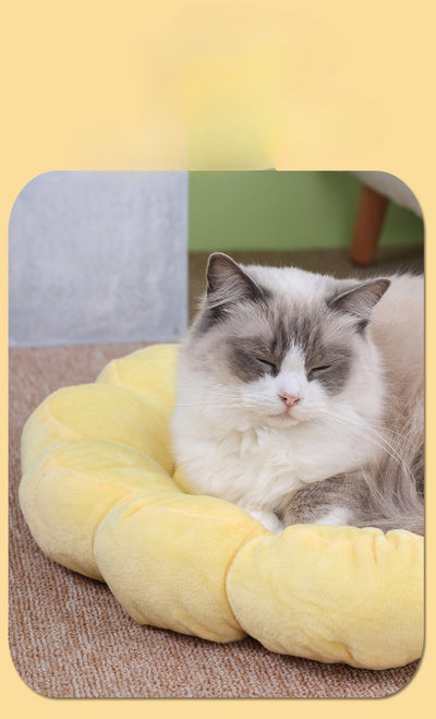 Cama Nido Doble Cara para Perros y Gatos 50x50cm - Diseño Pétalos Multicolor - Image 14