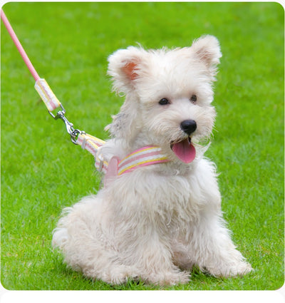 Arnés de Pecho con Correa para Pasear Perros - Control Seguro y Cómodo - Image 21
